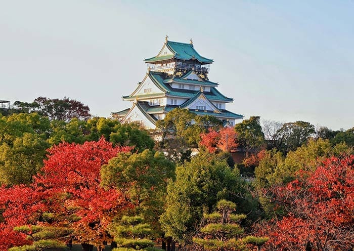 11 Days Japan Full Coverage - 4
